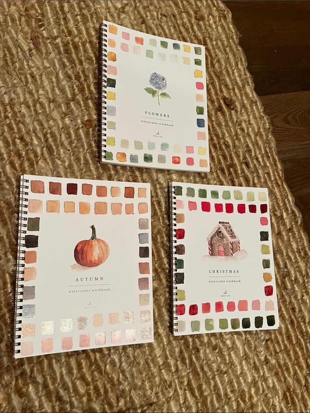 Emily Lex-Watercolor Workbook Set - Autumn, Christmas, Flowers